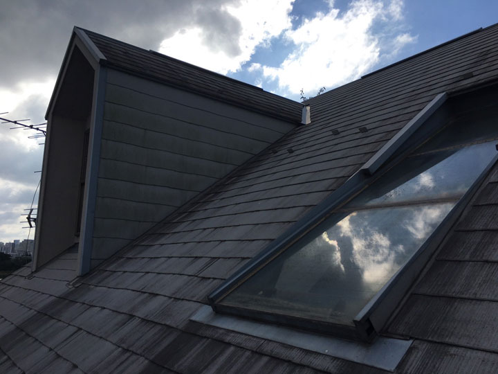 高所の天窓は点検を依頼しましょう