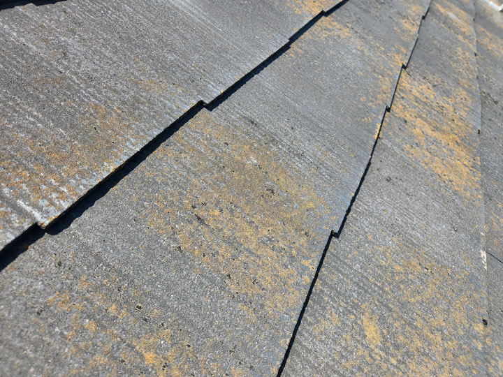 苔が生えているスレート