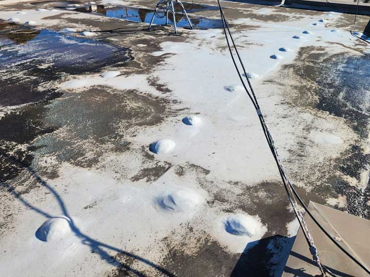 劣化が見られる防水層表面