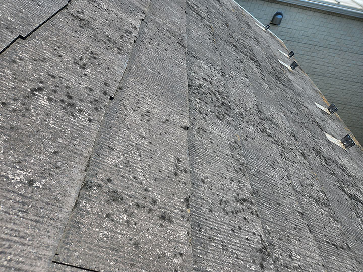 屋根にカビが発生する原因とは？放置のリスクと正しい対処方法を解説