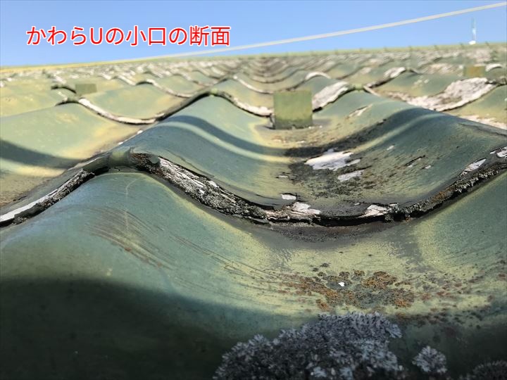 かわらUの小口の断面