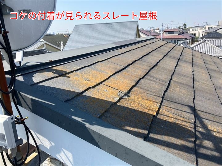 コケの発生が見られるスレート屋根