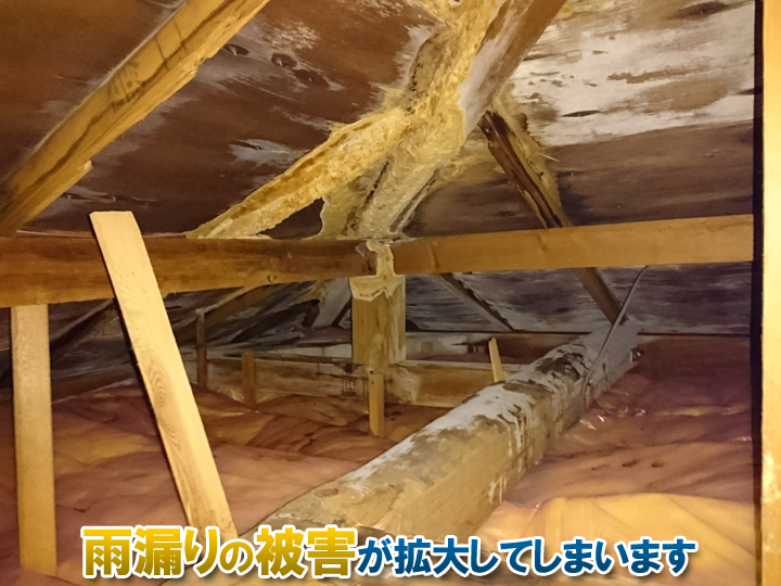 屋根下地（野地板・防水紙）の劣化による雨漏り被害