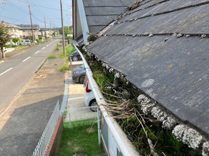 軒雨樋の汚泥の堆積