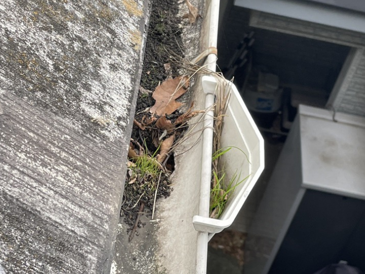 落ち葉などが堆積した雨樋