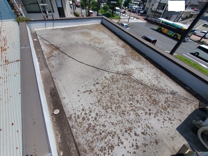 広範囲に苔が付着した陸屋根