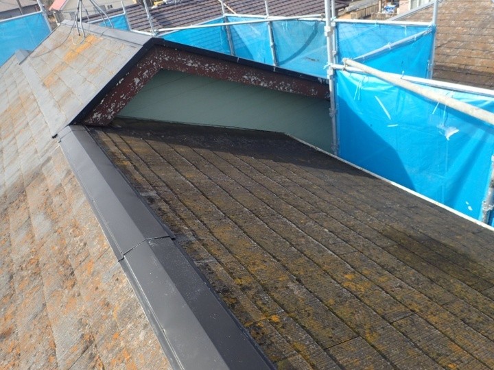 屋根全体の苔と色あせの確認