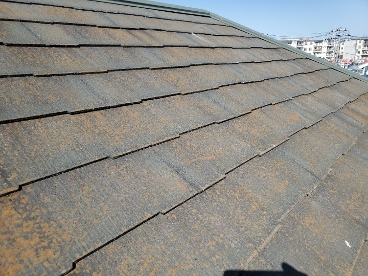 広範囲にわたる塗膜の剥がれ