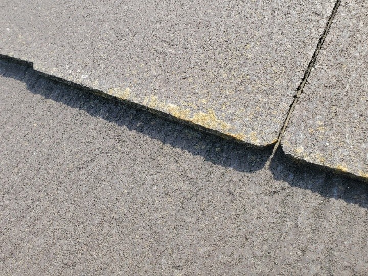 苔の付着を確認