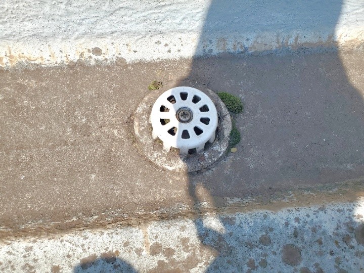 ドレン周辺の汚れと苔の発生