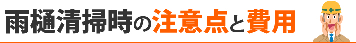 雨樋清掃時の注意点と費用