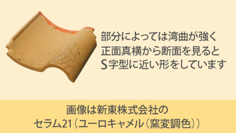 部分によっては湾曲が強く正面真横から断面を見るとS字型に近い形をしています