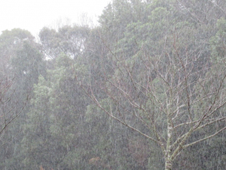 豪雨